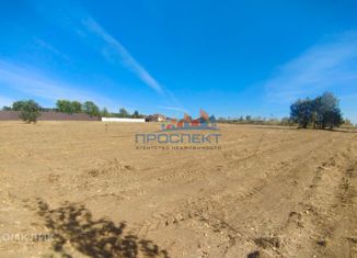 Продаю земельный участок, 16 сот., село Богословское