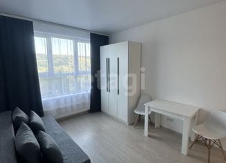 Аренда квартиры студии, 21 м2, Нижний Новгород, Правдинская улица, 43, Ленинский район