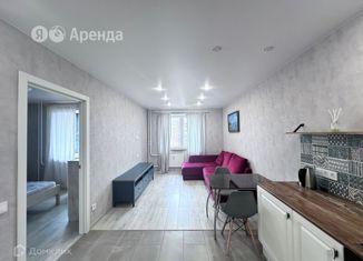 Однокомнатная квартира в аренду, 38 м2, посёлок Парголово, улица Шишкина, 303к1