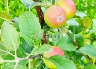 Продажа дома, 30 м2, Красноярск, Ленинский район, садоводческое некоммерческое товарищество Весна, 12