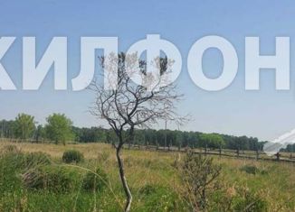 Продажа земельного участка, 30 сот., поселок Масляха, Зелёная улица