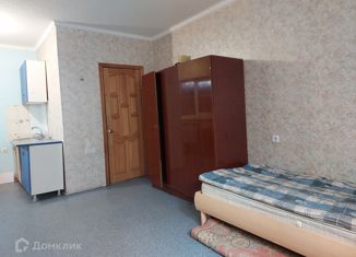 Продам 1-комнатную квартиру, 27 м2, Ростов-на-Дону, улица Кржижановского, 245, Пролетарский район