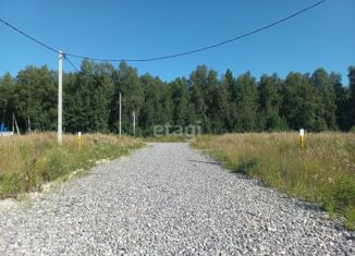 Продается дом, 120 м2, деревня Падерина, Луговая улица