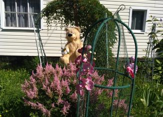 Продаю дом, 40 м2, деревня Борисова Грива