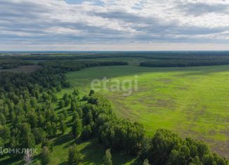 Продается участок, 15 сот., село Каменка, Школьная улица