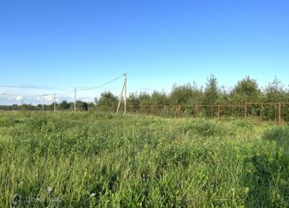 Продаю участок, 20 сот., деревня Плюсково, деревня Плюсково, 22