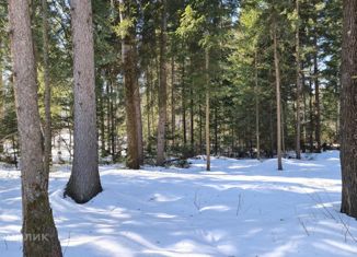 Продажа участка, 12.53 сот., деревня Казанка, Весенний переулок, 8