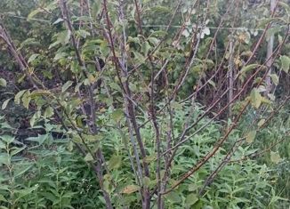 Продается участок, 8.4 сот., село Золотушка, Тихая улица