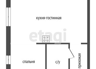 Продаю однокомнатную квартиру, 30.9 м2, Красноярск, улица Ады Лебедевой, 91, Центральный район