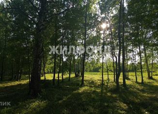 Продам земельный участок, 11 сот., село Плотниково