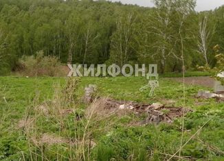 Продаю земельный участок, 7.7 сот., село Гусиный Брод, Школьная улица