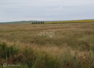 Продам земельный участок, 250 сот., село Уйское, улица Чечёткина, 24