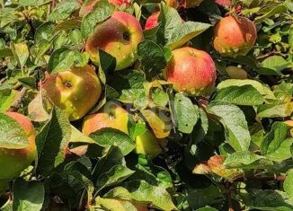 Продажа земельного участка, 6 сот., поселок Синявино, Карьерный переулок