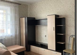 Сдам в аренду 1-комнатную квартиру, 30 м2, посёлок Красный Бор, квартал Светлояр, 1к3