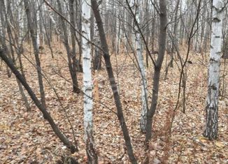 Продаю земельный участок, 11 сот., дачное некоммерческое партнерство Лазурный берег, дачное некоммерческое партнерство Лазурный берег, 87