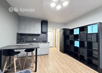 Квартира в аренду студия, 22 м2, Санкт-Петербург, метро Лесная, Большой Сампсониевский проспект, 69к5