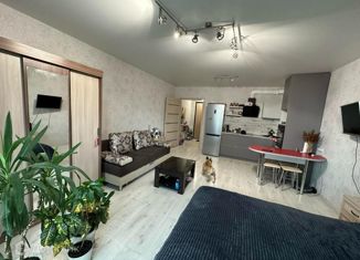 Продаю квартиру студию, 35.5 м2, Красноярск, Апрельская улица, 6Б