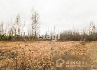 Продается участок, 11.12 сот., деревня Коняшина