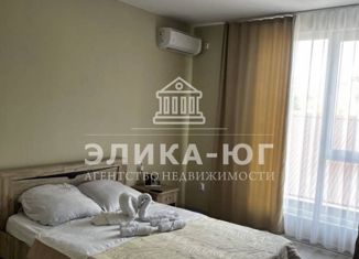 Продажа однокомнатной квартиры, 21 м2, село Лермонтово, Приморская улица, 11