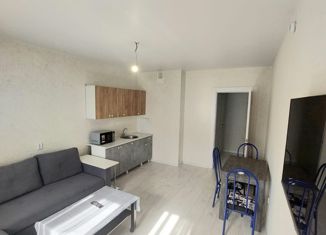 Продается квартира студия, 27 м2, Краснодар, улица имени Героя Советского Союза Якова Кобзаря, 2, ЖК Квартал № 6