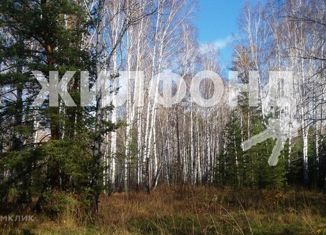 Продается участок, 11.6 сот., коттеджный посёлок Лаки парк, коттеджный посёлок Лаки Парк, 93