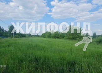 Земельный участок на продажу, 26.9 сот., село Жирятино