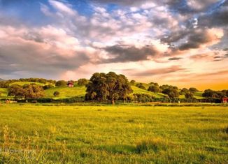 Продается участок, 20 сот., деревня Песочное