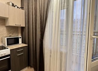 Продаю 1-комнатную квартиру, 30 м2, Нижегородская область, Бурнаковская улица, 63