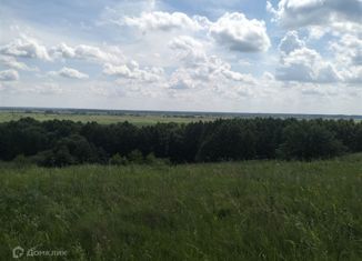 Дом на продажу, 46 м2, деревня Лукьяново, Пригородная улица, 54