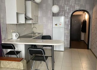 Продаю квартиру студию, 26.3 м2, Санкт-Петербург, проспект Народного Ополчения, 10, метро Ленинский проспект