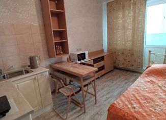 Аренда квартиры студии, 25 м2, Владимир, Северная улица, 2Б