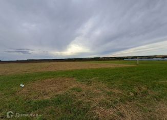 Продаю земельный участок, 22 сот., деревня Родники, Центральная улица