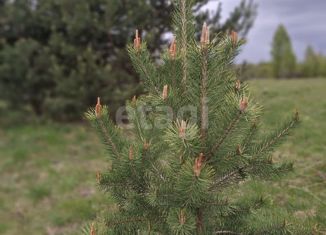 Продам участок, 11.99 сот., деревня Мозжарино