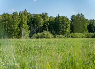 Продаю участок, 4.17 сот., деревня Коняшина