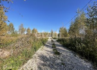 Продам участок, 12 сот., село Зайцево, Берёзовая улица, 29