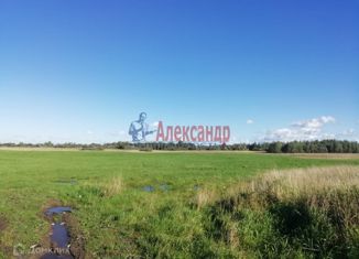 Земельный участок на продажу, 351 сот., деревня Ветхое Село