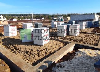 Продается дом, 100 м2, деревня Большие Раскопины, Дружная улица