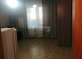 1-ком. квартира в аренду, 25 м2, Новосибирская область, Рябиновая улица, 10/1