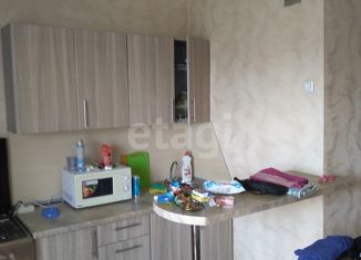 Продажа квартиры студии, 24.2 м2, Миасс, улица Колесова, 1