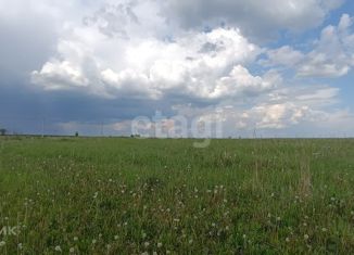 Продается земельный участок, 10 сот., деревня Моготово, улица Мазурина