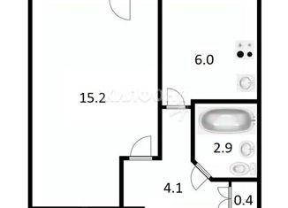 1-ком. квартира на продажу, 30 м2, Новосибирская область, улица Дмитрия Шамшурина, 43