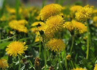 Продажа земельного участка, 6 сот., поселок Верхнетемерницкий, Астероидная улица