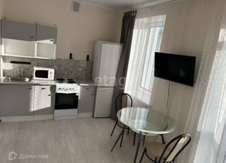 Квартира на продажу студия, 23.5 м2, деревня Царёво, улица Петра Гаврилова, 28