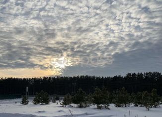 Продается дом, 65 м2, село Борки