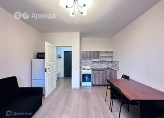 Сдается квартира студия, 23 м2, Санкт-Петербург, Петергофское шоссе, 86к3, Петергофское шоссе