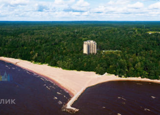 Продажа двухкомнатной квартиры, 57.36 м2, Зеленогорск, Приморское шоссе, 570