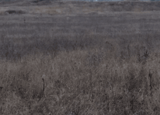 Продается участок, 10 сот., село Красная Зорька, квартал Кичкене, 18