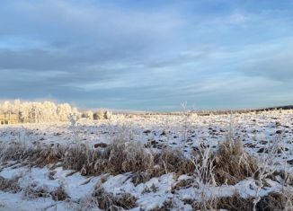 Участок на продажу, 10 сот., ДНТ Полесье, Береговая улица