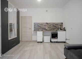 Сдается квартира студия, 26 м2, Санкт-Петербург