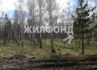 Продам земельный участок, 13.6 сот., село Новокаменка